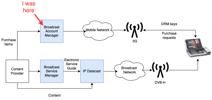 Mobile TV network